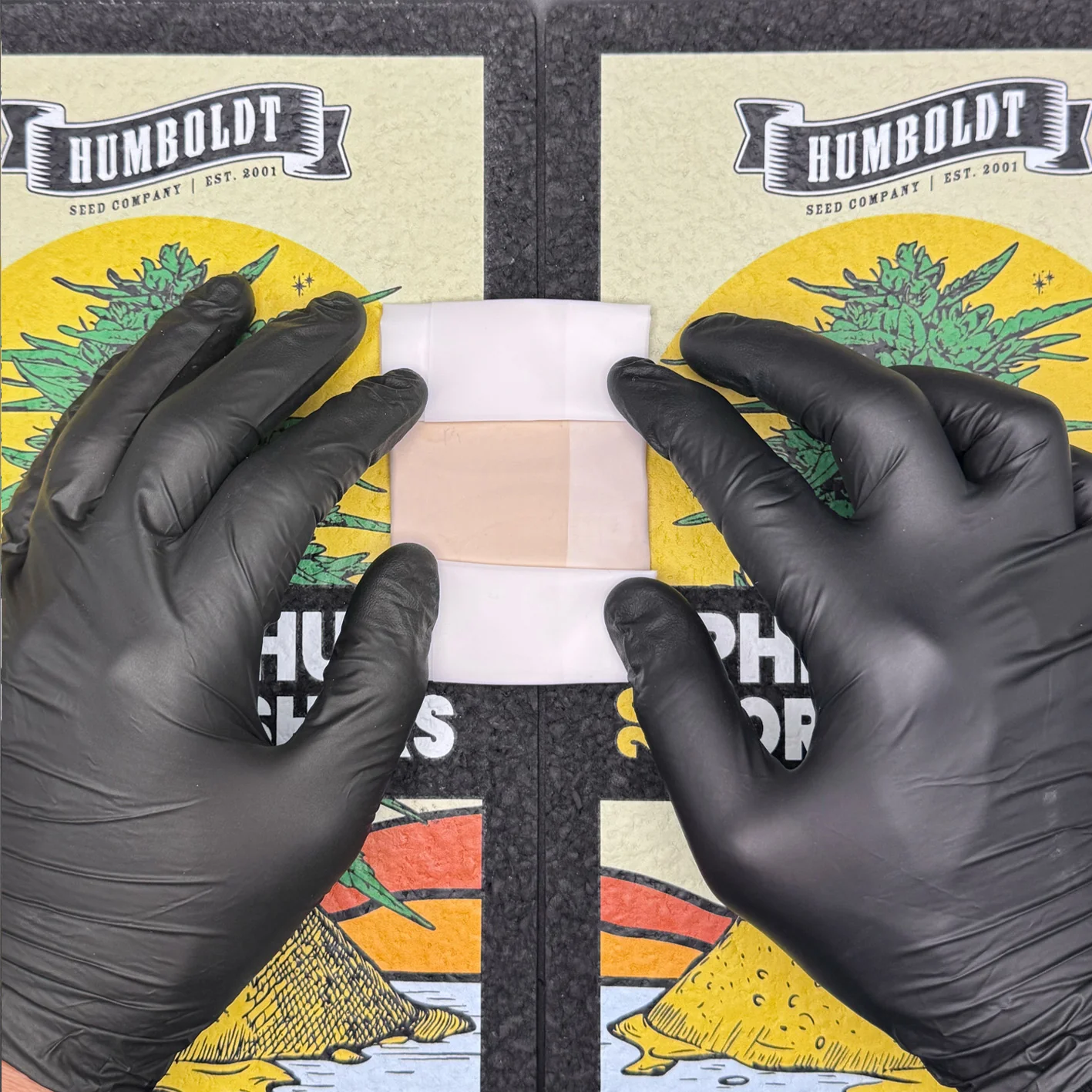 Thumbnail 18